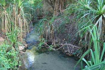 Katherine Hot Springs