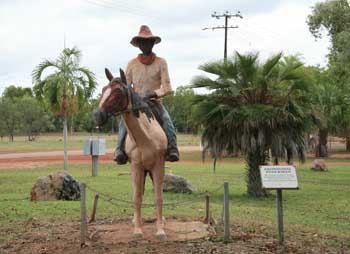 Mataranka park