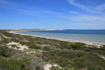 Shelly Beach