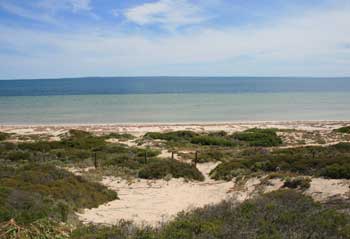 Shelly Beach from the dune top